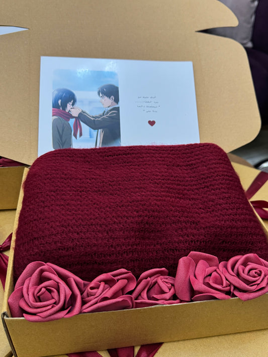Mikasa's Box Shawl