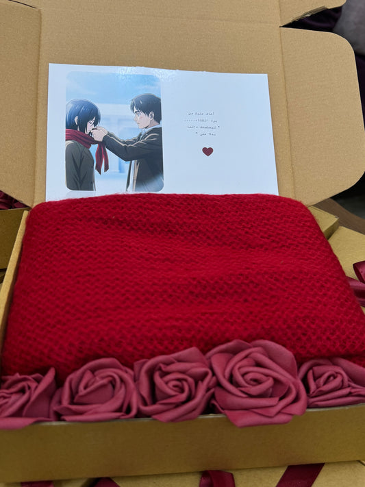 Mikasa's Box Shawl